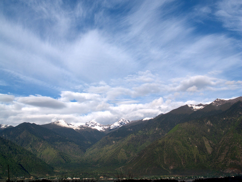 P5245092.jpg
