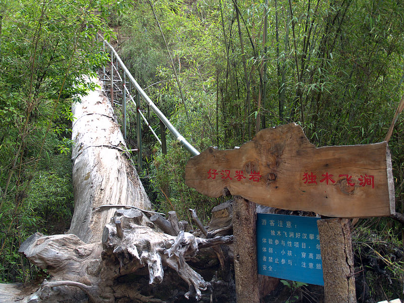 P5245165.jpg