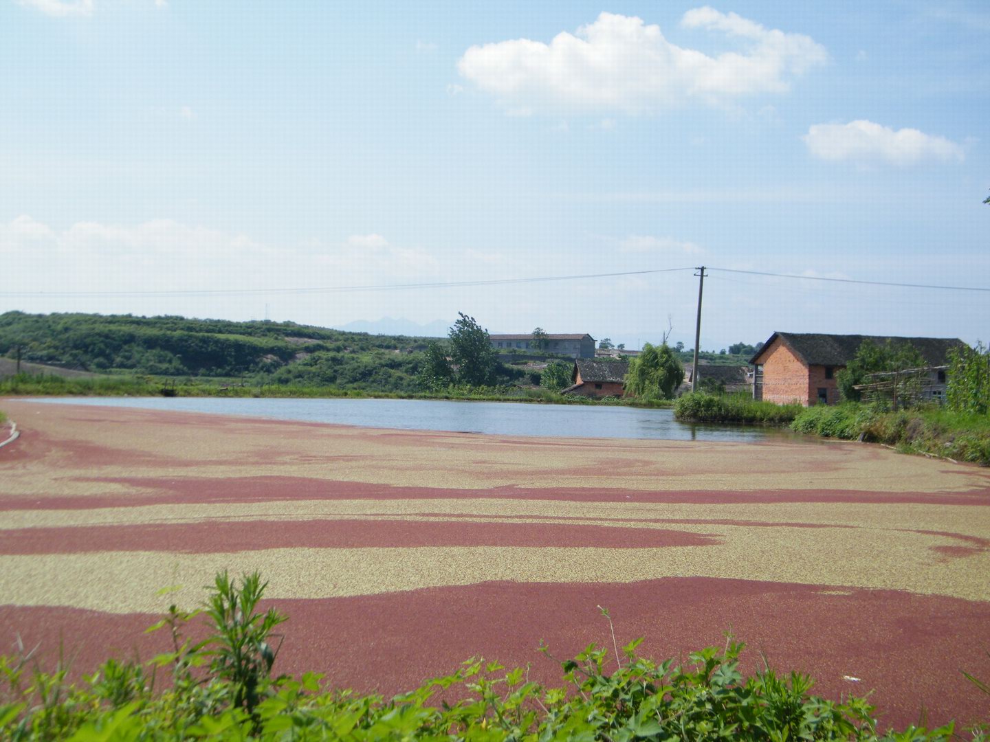 DSCF0202.JPG