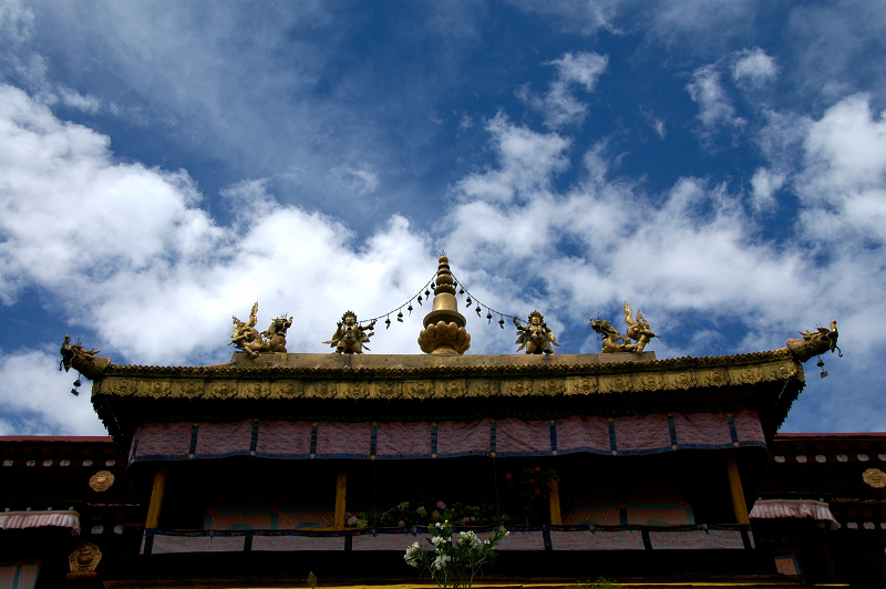 DSC_0432.jpg