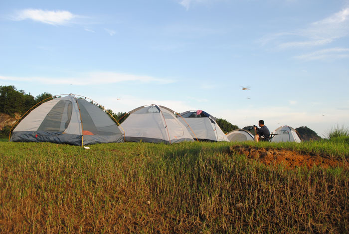 DSC_0738.jpg