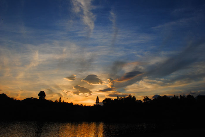 DSC_0684.jpg