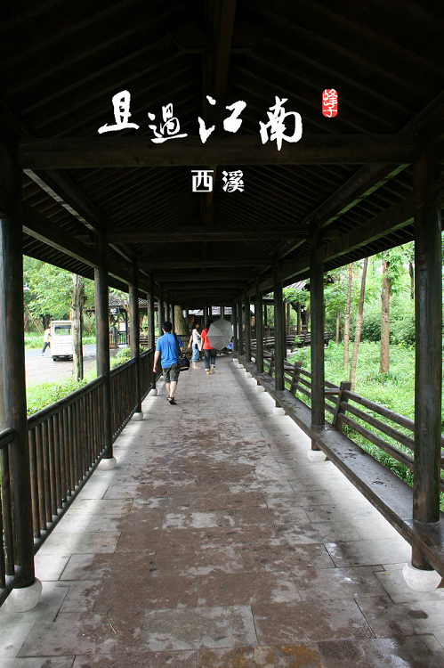nEO_IMG_IMG_0322.jpg