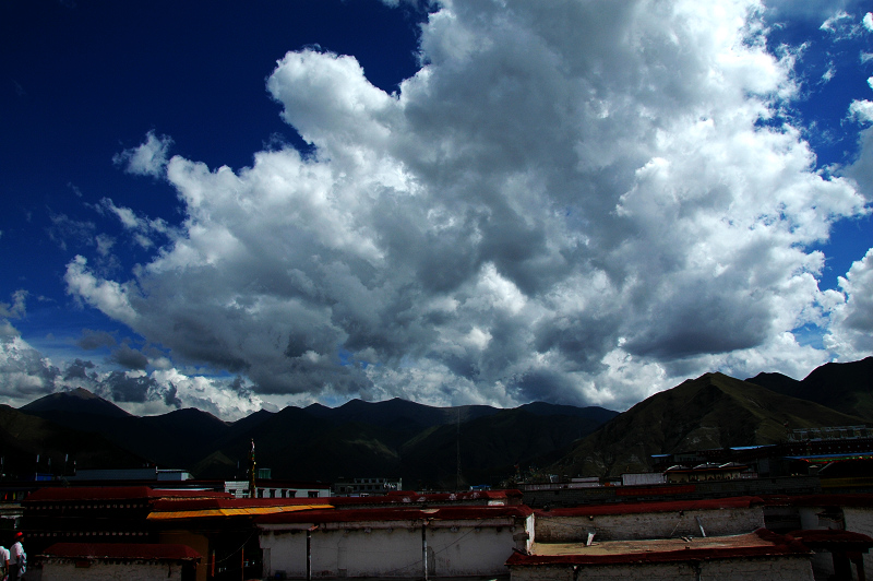 DSC_0517.jpg
