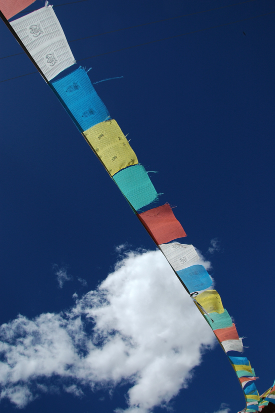 DSC_0545.jpg