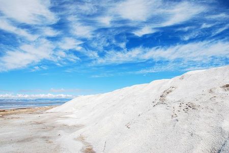 DSC_0473.jpg