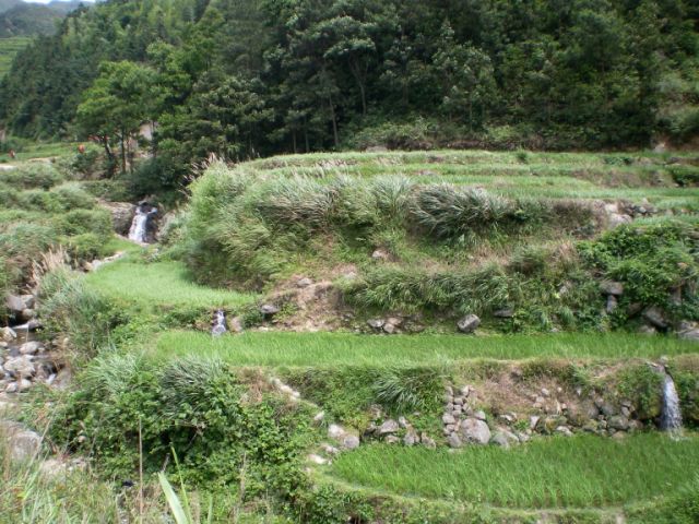 SANY0583111.jpg
