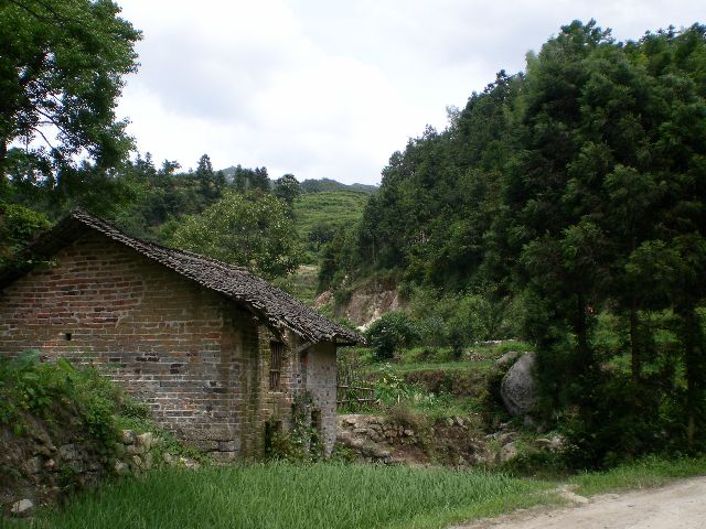 SANY0587111.jpg