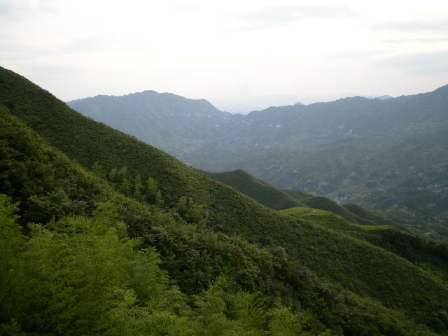 SANY0648111.jpg