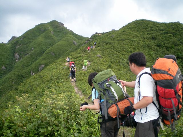 SANY0654111.jpg