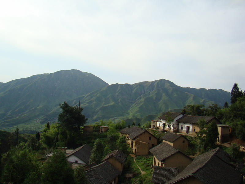DSC02256.JPG
