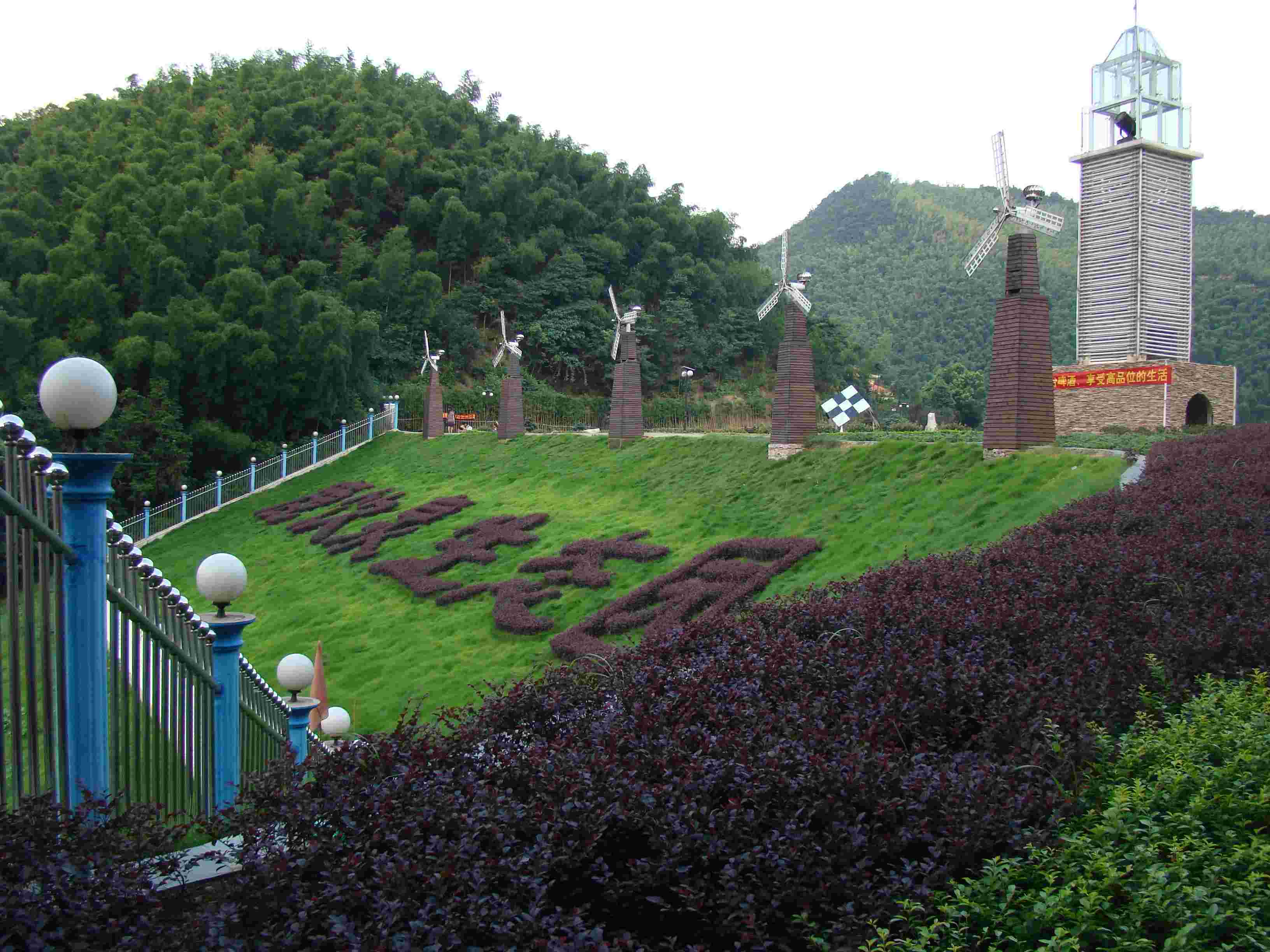 DSC02820.jpg