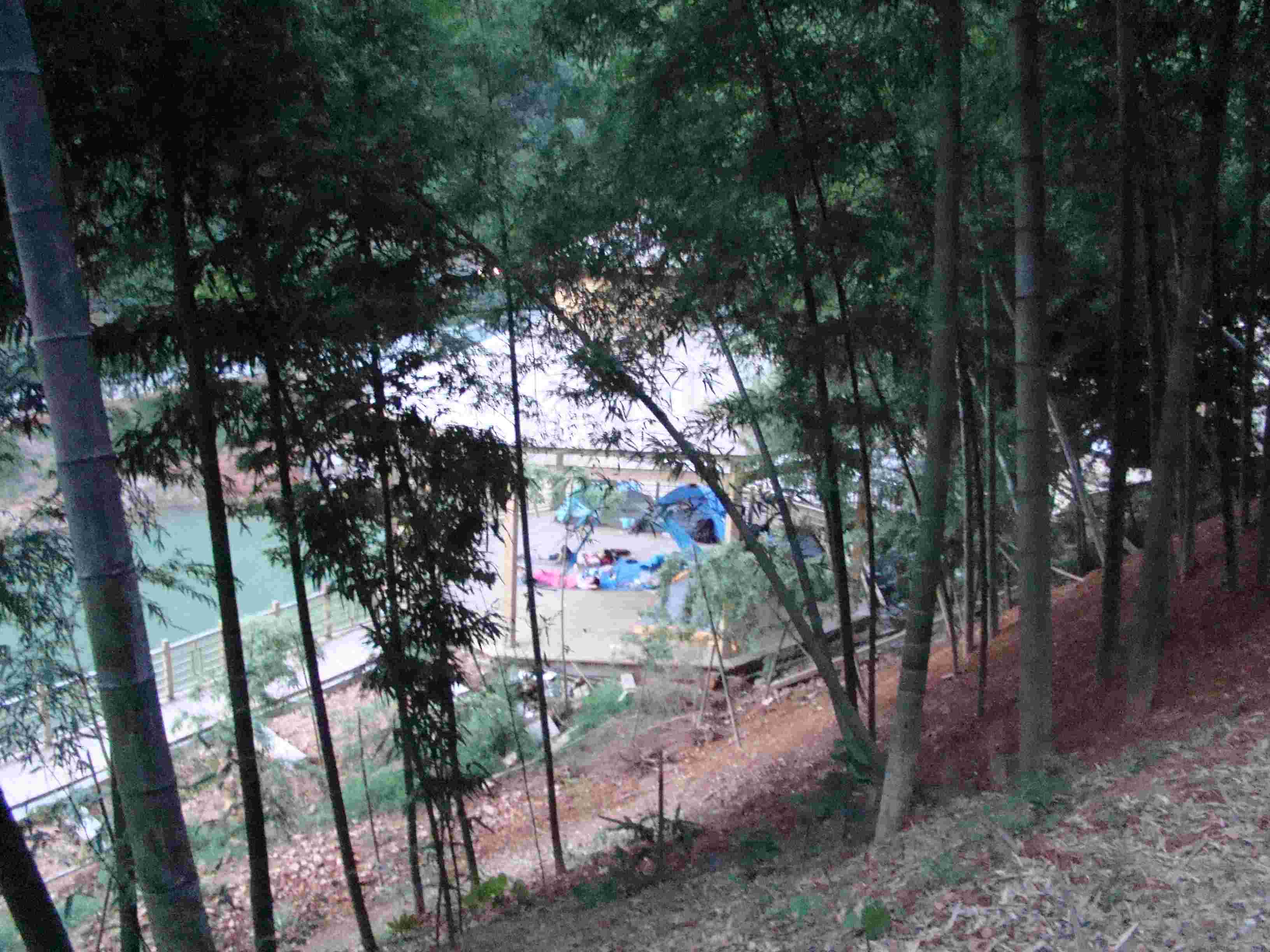DSC02842.jpg