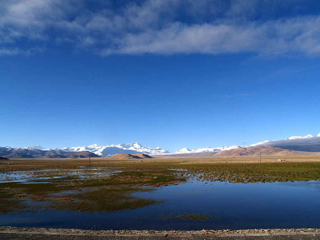 P5285511.jpg