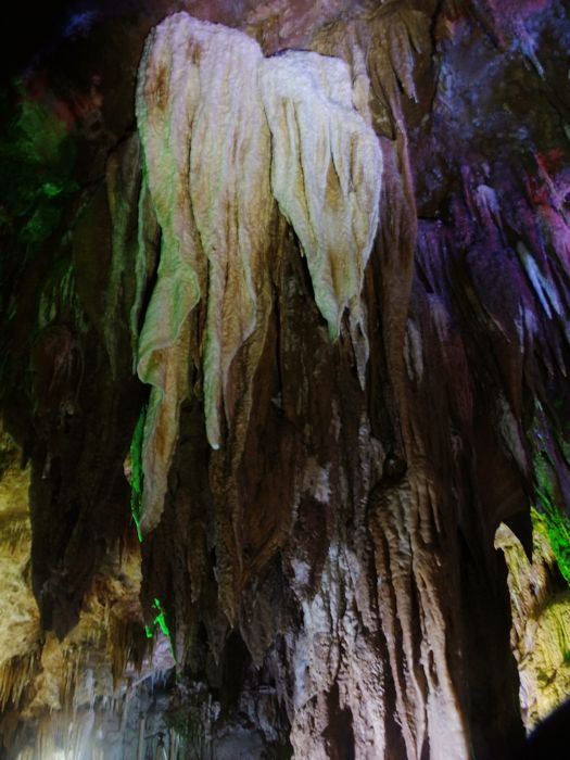 DSCF5098.JPG