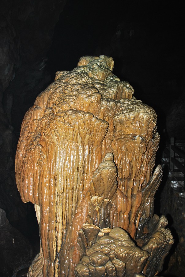 DSC_0228.jpg