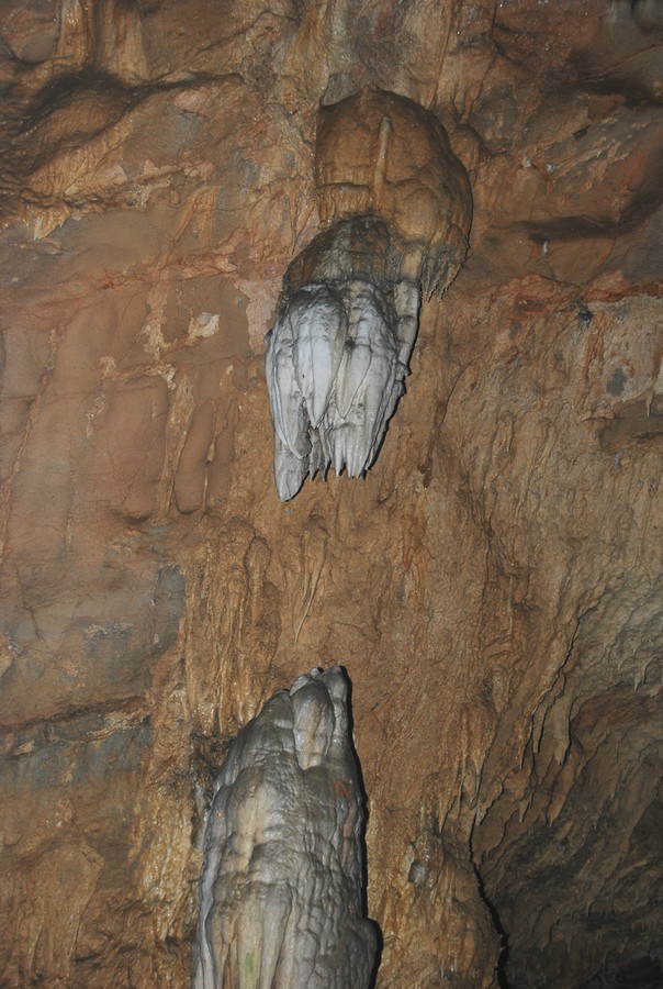 DSC_0231.jpg