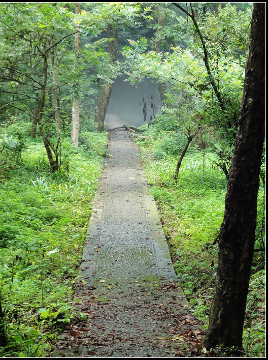 DSC04124.jpg
