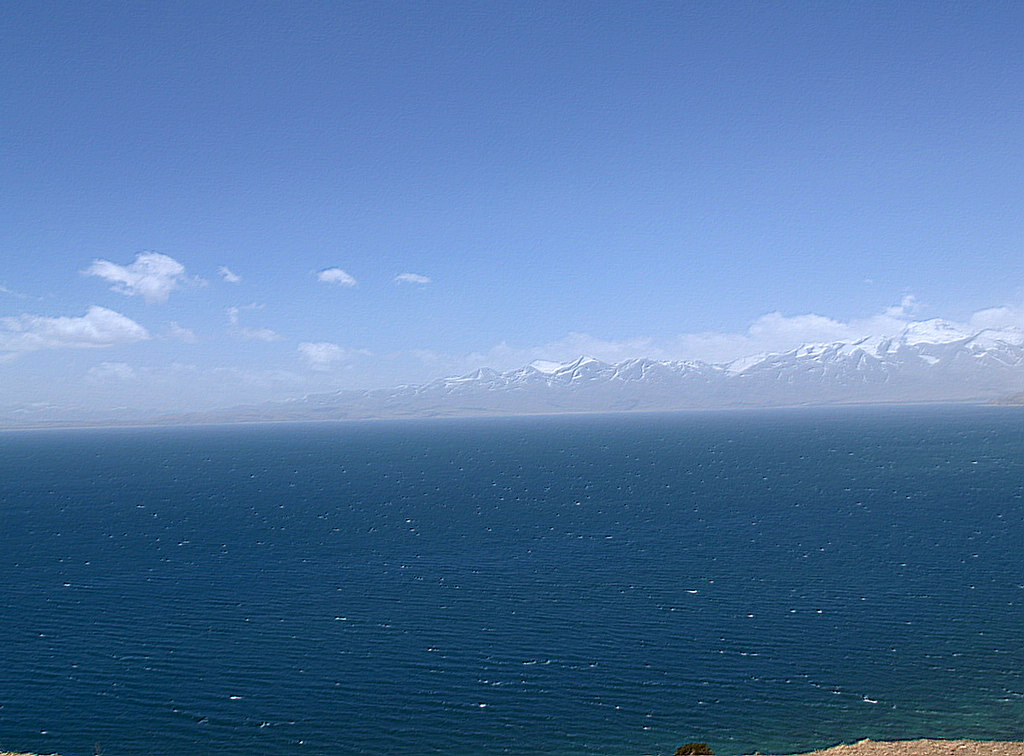 P5295782.jpg