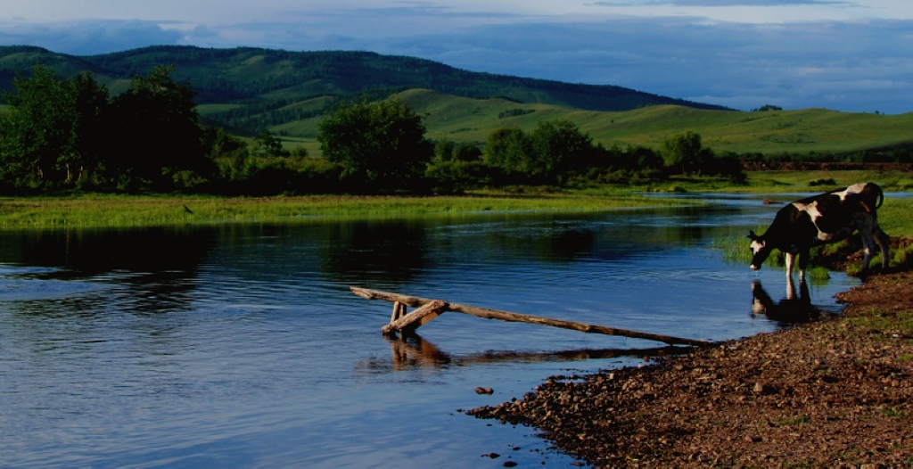 DSC_0875.jpg