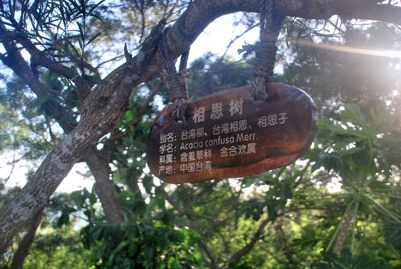 ��޵�֮��2 281.jpg