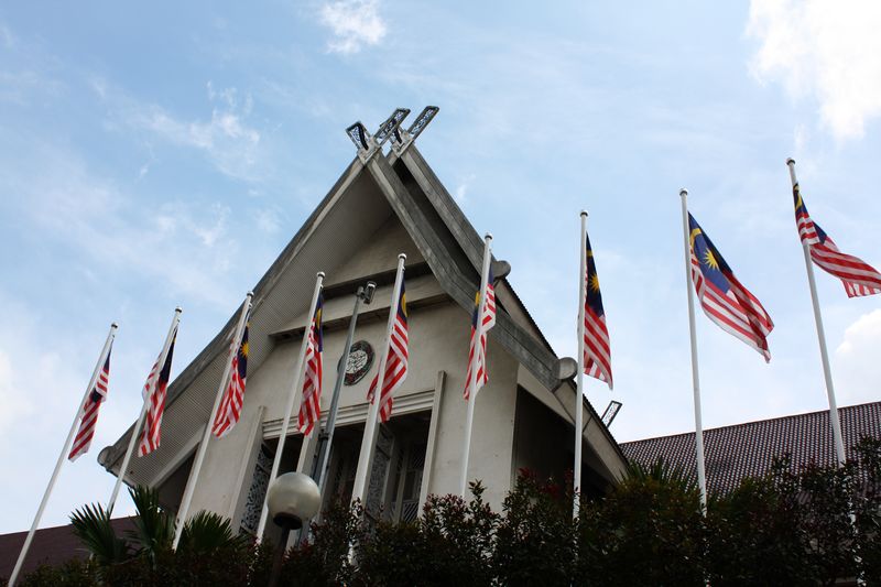 IMG_2237.jpg
