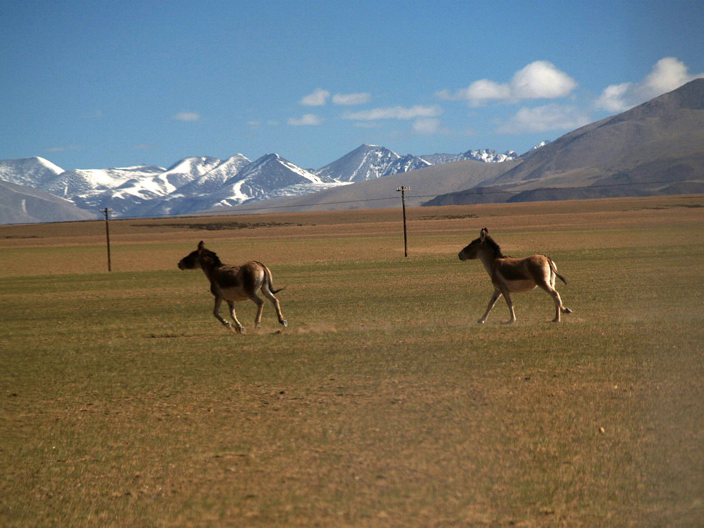 P5316549.jpg
