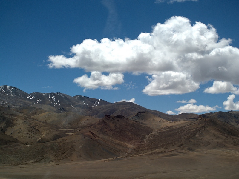 P5316728.jpg