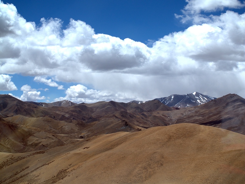 P5316741.jpg