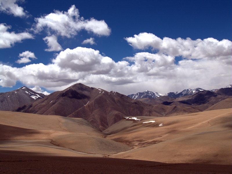 P5316765.jpg