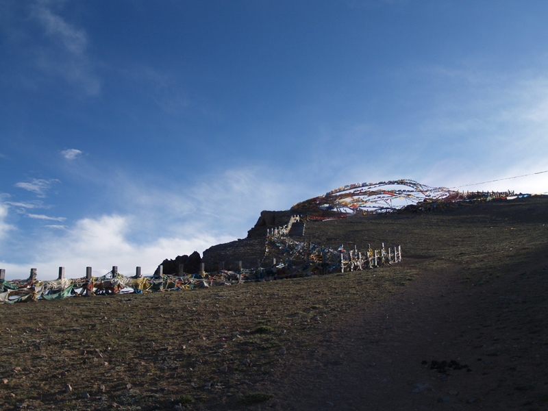 P6037425.jpg