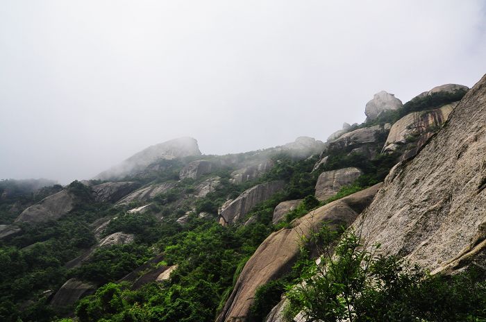 nEO_IMG__DSC0683.jpg