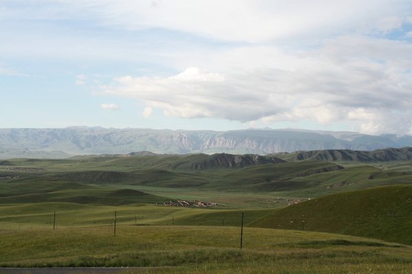 IMG_5312.jpg
