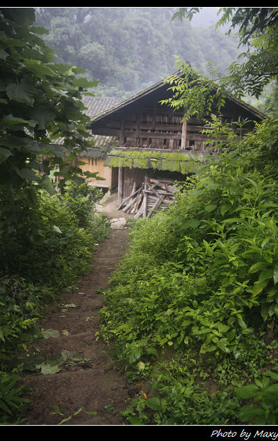 _MG_8594.jpg