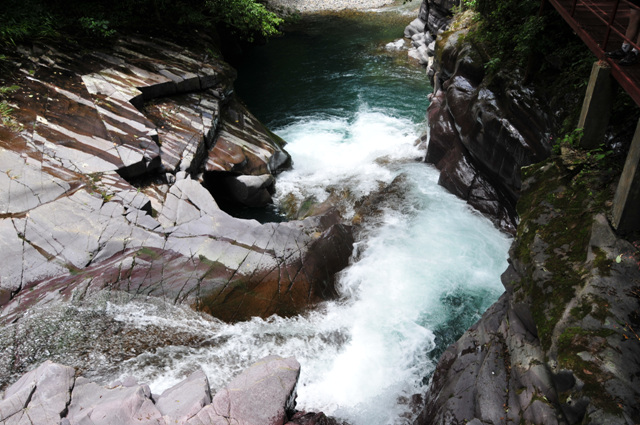 ��˳СϪ (51).jpg