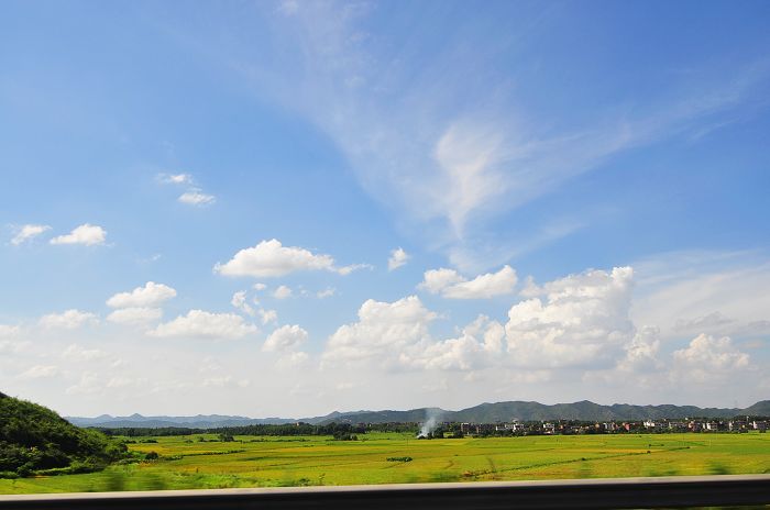 nEO_IMG__DSC0799.jpg
