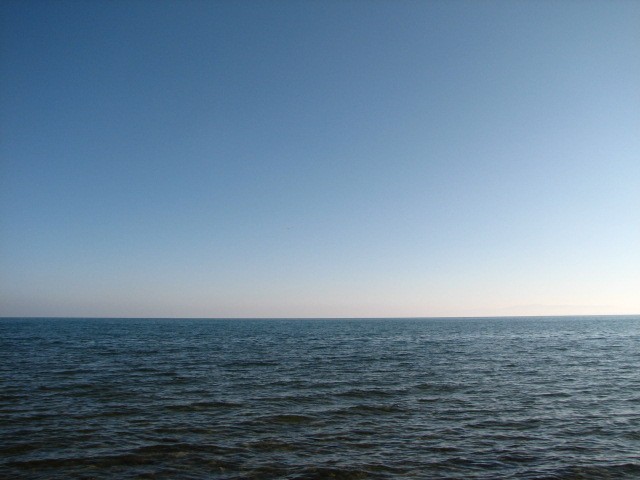 BigBull_IMG_8462.JPG