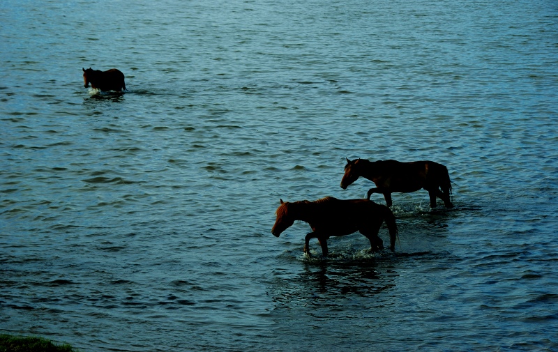 DSC_0013.jpg