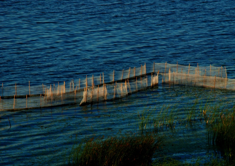 DSC_0074.jpg