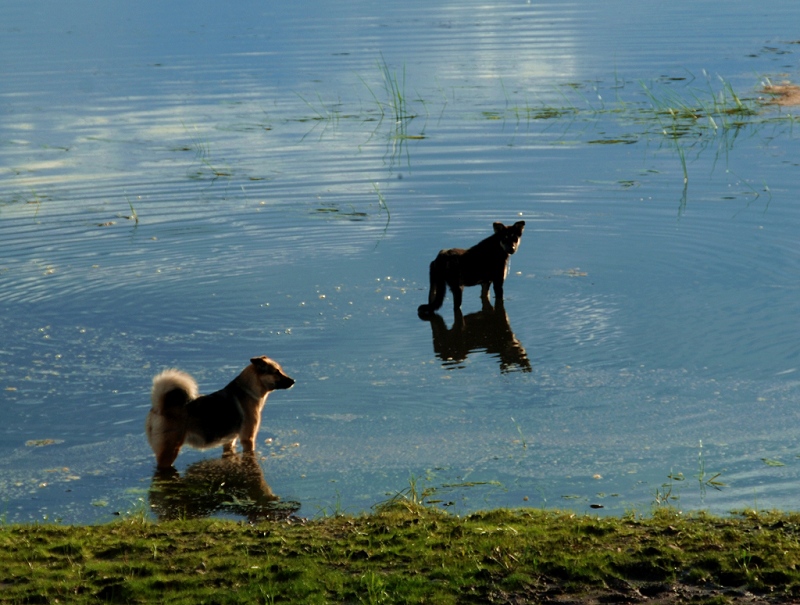 DSC_1171.jpg