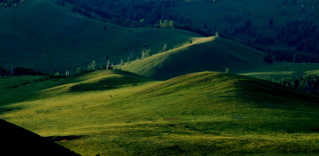 DSC_1587.jpg