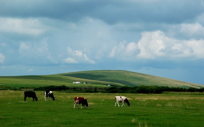 DSC_0571.jpg