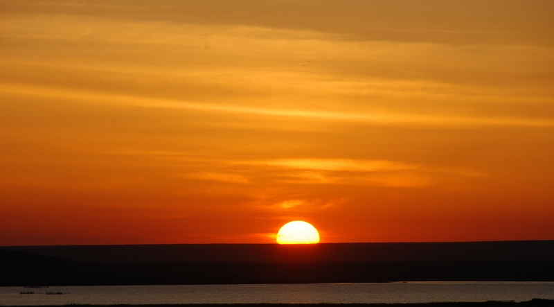 DSC_0093.jpg