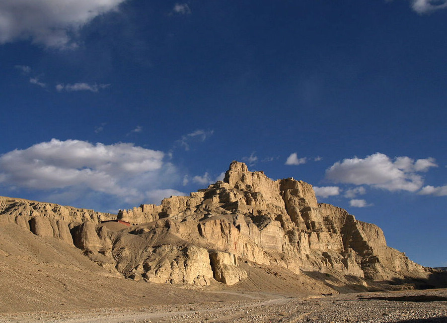 P5306202.jpg