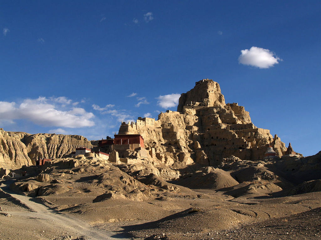 P5306265.jpg