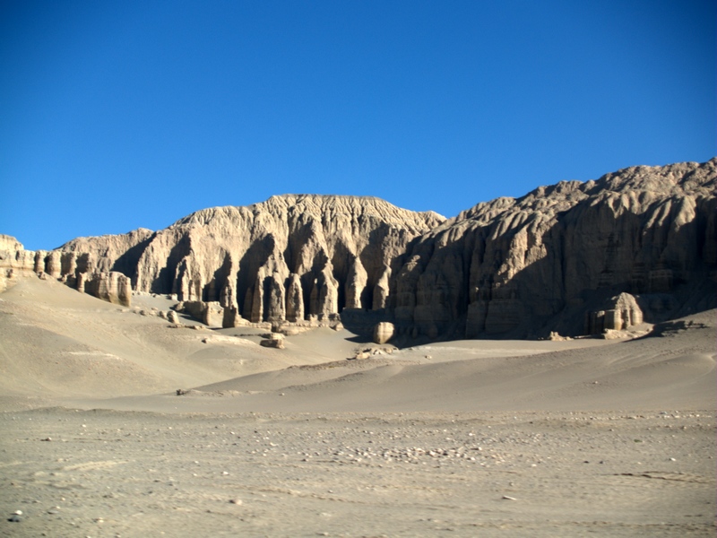 P5316439.jpg