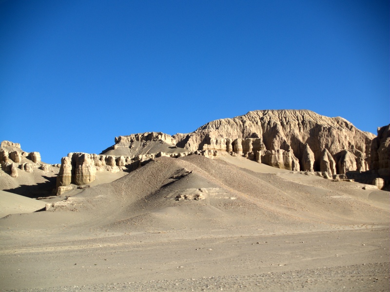 P5316441.jpg