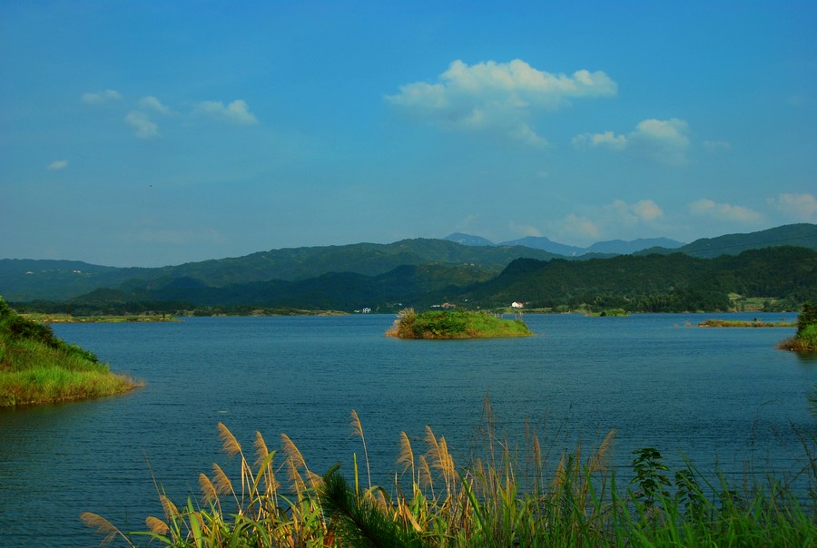DSC_0010.jpg