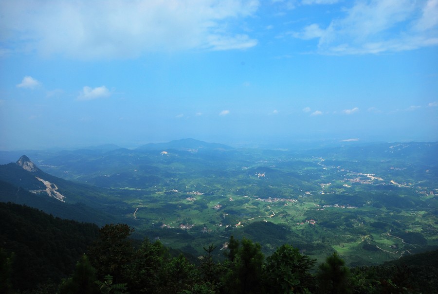 DSC_0355.jpg