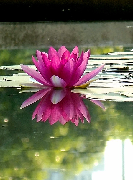 DSCF0959.jpg